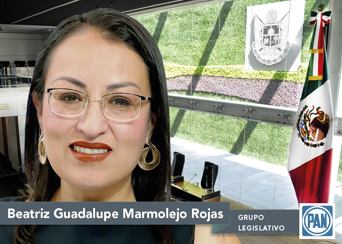 Dip. Beatriz Guadalupe Marmolejo Rojas 
