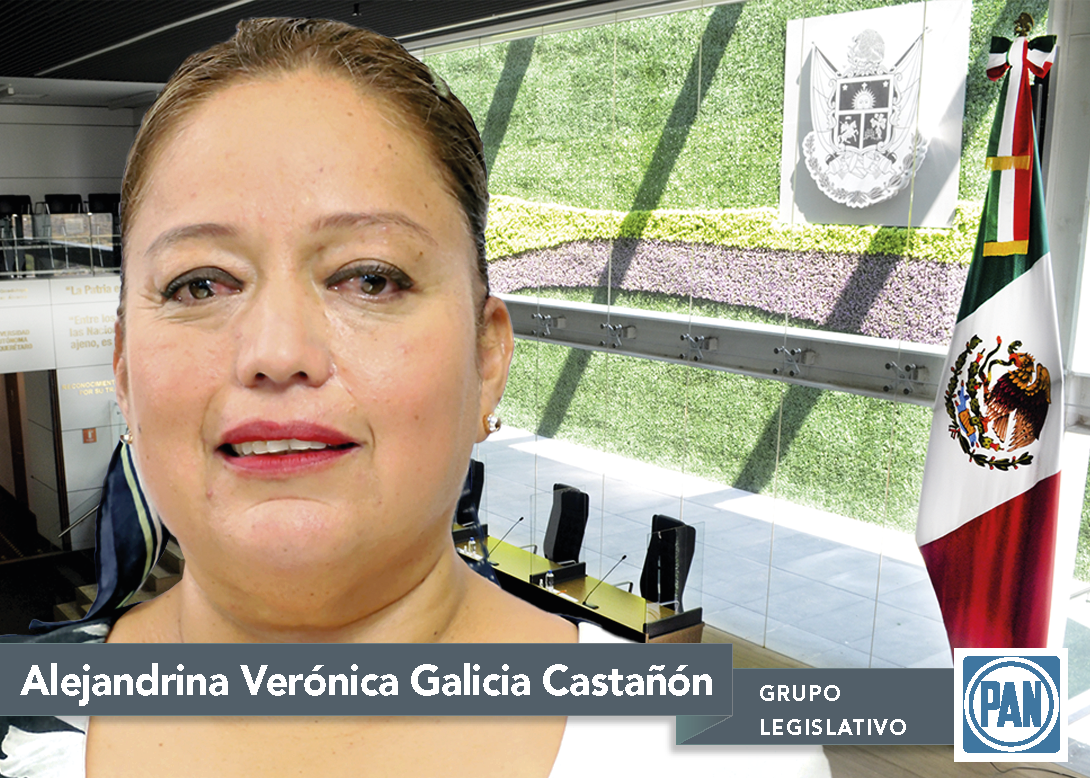 Dip. Alejandrina Verónica Galicia Castañón